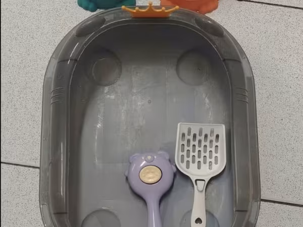 Pişik üçün aksesuar dəsti. - Tualet qabı: geniş, oval formalı