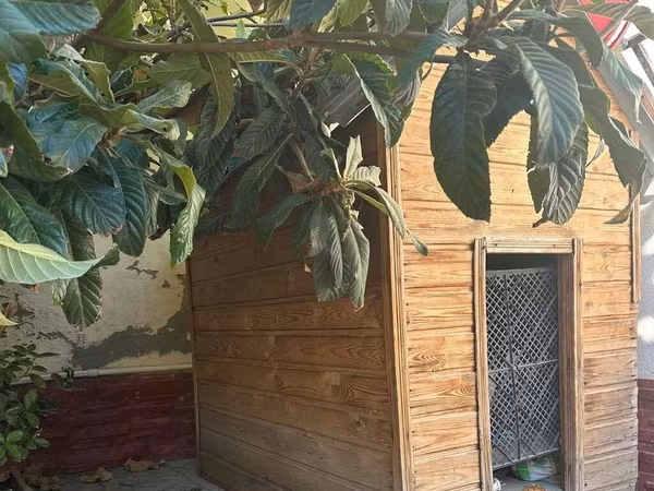 Ağac materialından hazırlanmış geniş it evi - Materiaal: təbii taxta