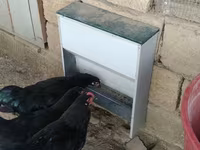 Bunlar yem qabları toyuqlar ücün dəmirdən. istiyən 1 gün əvvəldən — foto 5