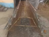 Katak 6 dona taklanib yigiladi — zdjęcie 3