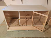 Papuqay,dovşan,hamster,şinşila,bildirçin,cücə,xamyak,pişik,quş,tısbağa — Foto 5