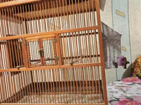 Taxta quş qəfəsi – ev formasında dizayn - Material: təbii ağac və — 照片 3