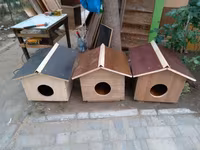 Rəngli taxta heyvan evi/budaq evciyi - Material: taxta konstruksiya — 照片 5