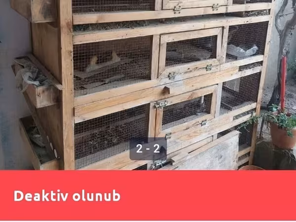 Taxta quş qəfəsi/kletkalar komplekti - Material: qalın taxta karkas