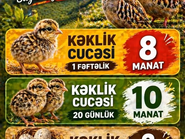 Quails