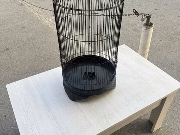 Qara metal quş qəfəsi - Material: möhkəm metal, toz boya örtüklü -