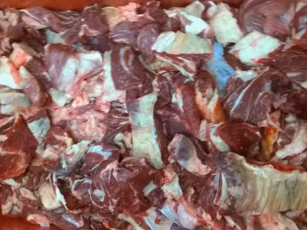 Котлетное мясо говяжье 80/20 зам