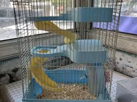 Hamster və balaca gəmiricilər üçün qəfəs - Rəng: açıq mavi plastik — الصورة 1