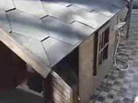 İsti pol ilə it evi - Material: möhkəm taxta konstruksiya, ikiqat — 照片 2