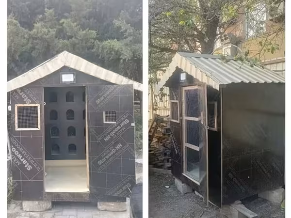 Quş yuvası Bahali diklerden bahali meterialdan yiqilib zehmet haqqi
