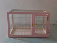Dovşan,hamster,şinşila,bildirçin,cücə,xamyak,pişik,quş ve s kimi ev — Foto 2