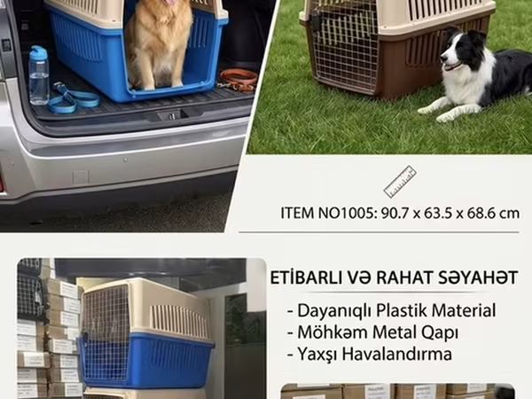 İtlər və digər ev heyvanları üçün beynəlxalq aviaşirkət (hava limanı)