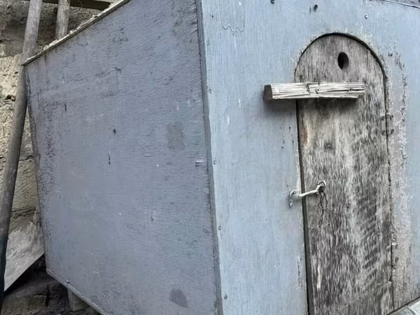 Taxtadan hazırlanmış, qapısı olan it evi. İtinizi küləkdən, yağışdan