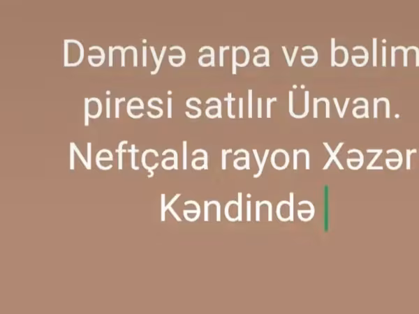 Məhsul: Dəmyə arpa və bələm piresi (yabanı ot piresi/biomass) Təsvir