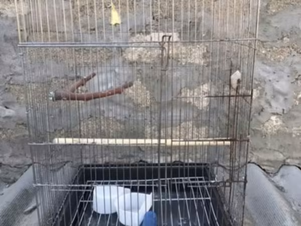 Böyük ölçülü quş qəfəsi - Material: metal barmaqlıqlar, plastik