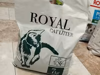 Royal cet katvi avaz կատվի համար տեղական լցանութ — foto 1