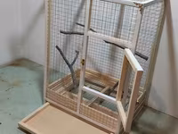 Papuqay,dovşan,hamster,şinşila,bildirçin,cücə,xamyak,pişik,quş,tısbağa — Foto 3