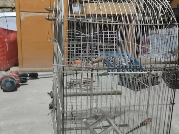 Metall quş qəfəsi dovşan tutuquşu göyərçin qəfəs - Material: möhkəm