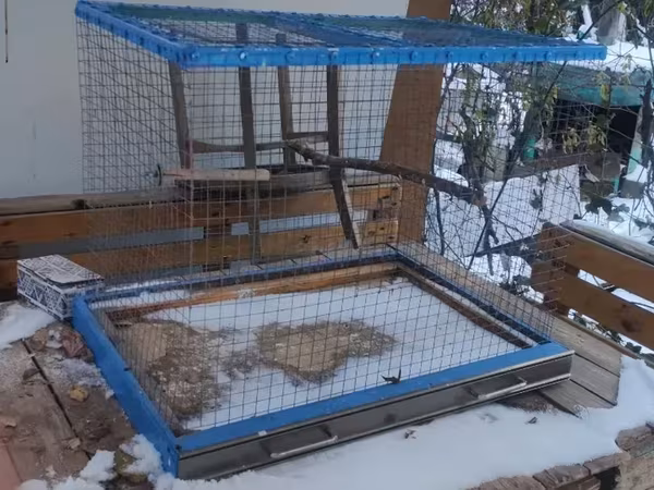 Թռչունի Վանդակ 70 * 50 * 50