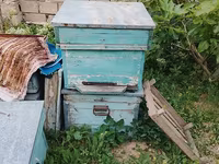 Arı pətəkləri və avadanlıqları - Material: taxta korpus, sink/metal — foto 2