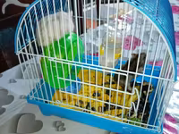 Hamster və qəfəs dəsti Məhsulun tərkibi: - Kiçik ölçülü, taşyanaqlı — фото 2