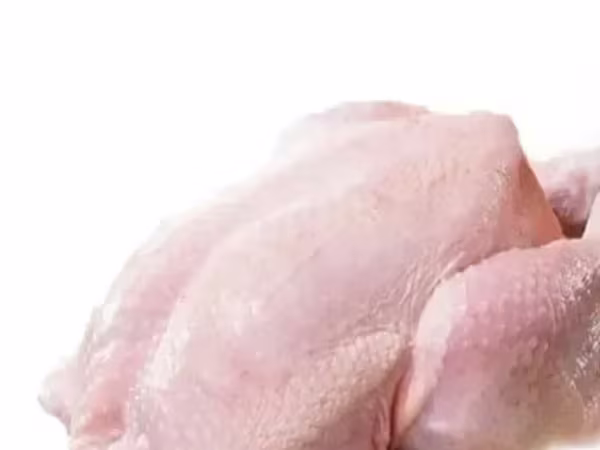 Հնդկահավի միս թրչնամիս