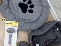 Maltipoo balası – krem rəngli, qıvırcıq tüklü, kiçik ölçülü ev iti — 照片 3