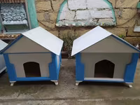 Salam yuvalar pişik ve balaca itlər üçün təzədi balacadan böyüyə — zdjęcie 4