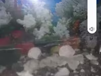 Ակվարիում 6 անկյուն 200լիր տակդիրով — photo 2