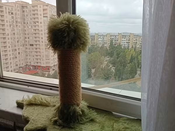 Pişik üçün dırmaşma və dırnaq itiləmə dirəyi - Model: kompakt