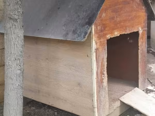 Açıq havada istifadə üçün taxta it evi - Material: qalın taxta