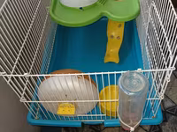 Hamster üçün tam dəst qəfəs uzunluqu 55 sm hündürlük 45 sm eni 30 sm — 照片 4