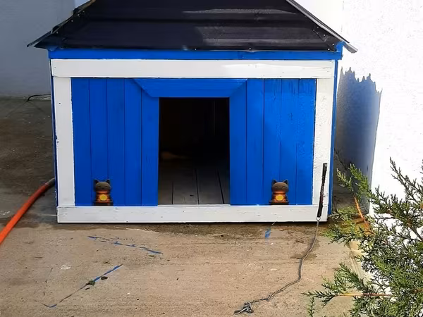 Satılır: İri ölçülü, dekorativ it damı! 🐕 ​Həyətiniz üçün möhtəşəm