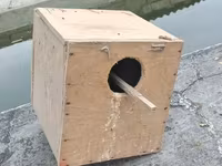 Taxta quş yuvası/kutubçası - Material: Sərt kontrplak/taxta - Forma — 照片 1