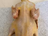 Alman Pekin — foto 4