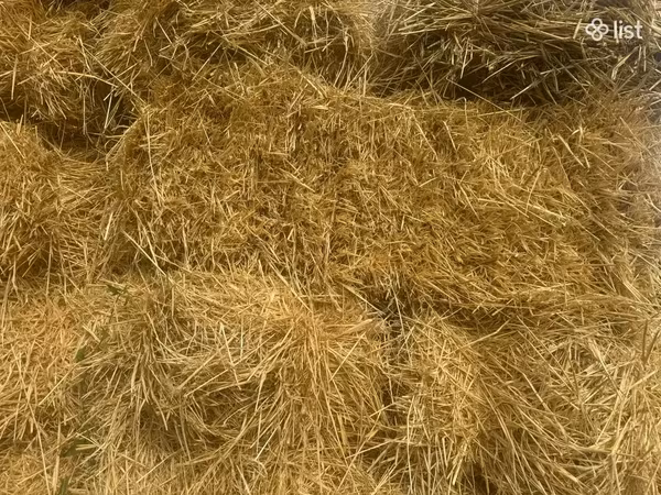 Գարու տուկեր սալոմ