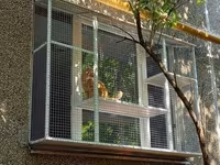 Pəncərə üçün “catio” – pişiklər üçün açıq, təhlükəsiz balkon-kafes - — 照片 3
