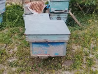 Arı pətəkləri və avadanlıqları - Material: taxta korpus, sink/metal — foto 1