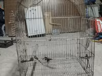 Metall quş qəfəsi dovşan tutuquşu göyərçin qəfəs - Material: möhkəm — foto 2