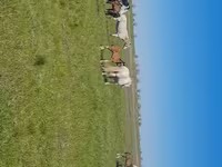 Кобила, Kazakh horse — фото 7