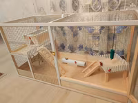Dovşan,hamster,şinşila,bildirçin,cücə,xamyak,pişik,quş ve s kimi ev — الصورة 4