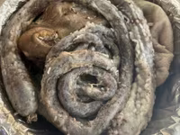 أغنام (دفعة، الجنس غير محدد), الأغنام — الصورة 5