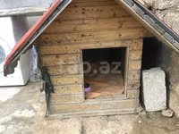 Taxta it evi - Material: qalın taxta karkas, ikiqat qırmızı — фото 2