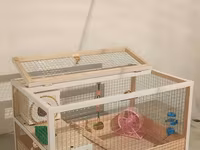 Hamster/kiçik gəmirici üçün geniş taxta — фото 4