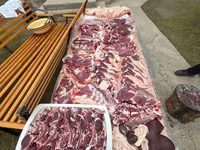 Carnero, Ovejas — foto 5