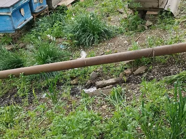 Arıçılıq üçün pətəklər və inventar dəsti - Taxta korpuslu, metal
