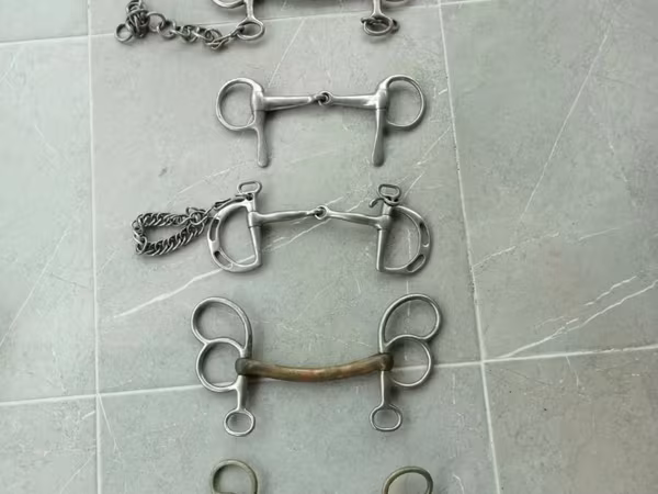 घोड़ी, घोड़े