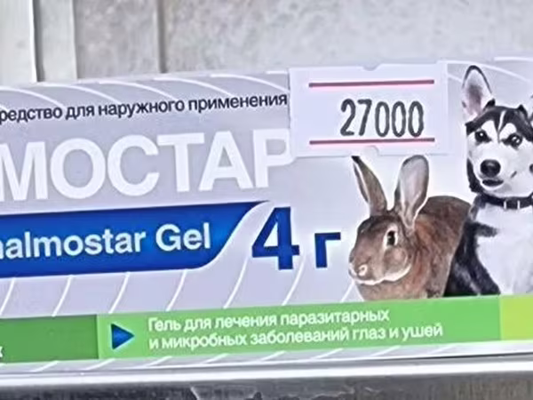 Barcha turdagi hayvonlar uchun