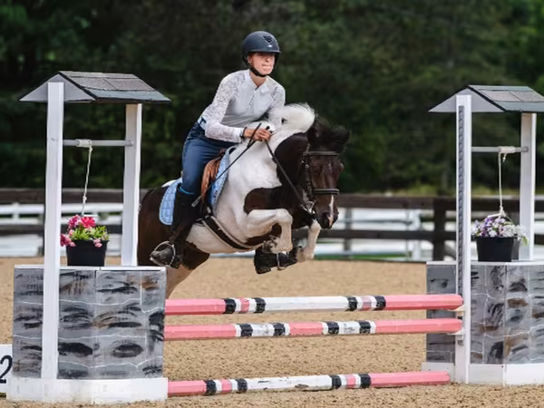 At, Pinto horses