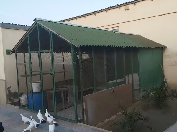 Geniş quşxana satılır.Əlaqə üçün 0509995556